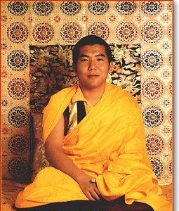 III Jamgon Kongtrul Rinpoche